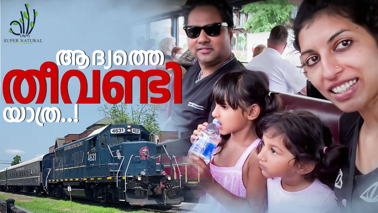 268. ആദ്യത്തെ തീവണ്ടി യാത്ര || The Famous scenic railroad trip|| Blue ridge train ride||vacation👌🏻