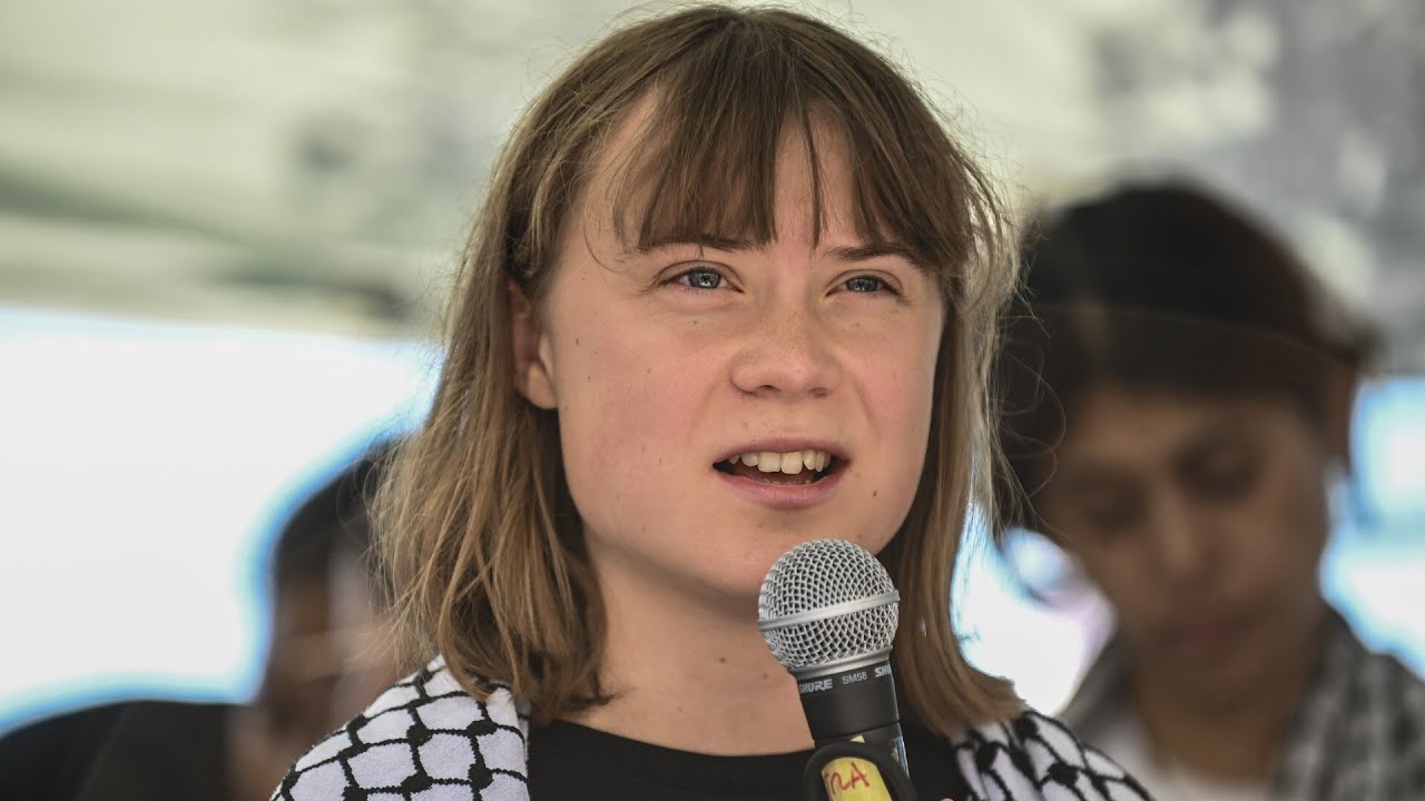‘Halfwit’ Greta Thunberg posts ‘sick joke’ of Israeli prisoner