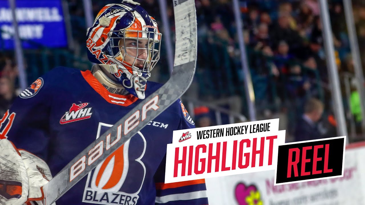 2019-20 HIGHLIGHT REEL | Dylan Garand