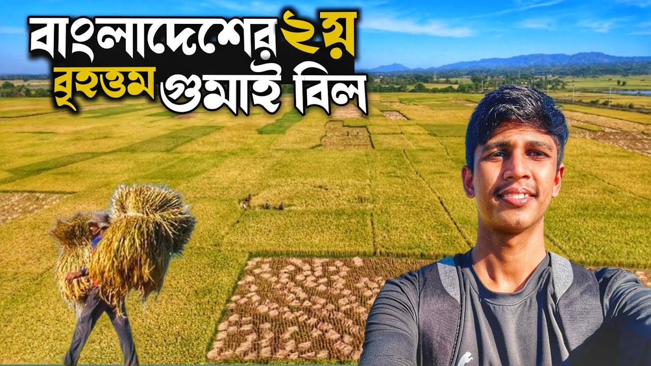 রাঙ্গুনিয়ার ঐতিহ্যবাহী গুমাই বিল || প্রতিবছর কোটি টাকার ধান উৎপাদন হয় | @ArafatTheExplorer 