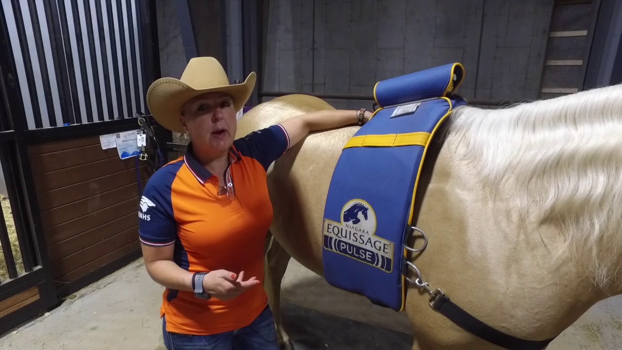 Equissage with Rieky Young - WEG Tryon 2018