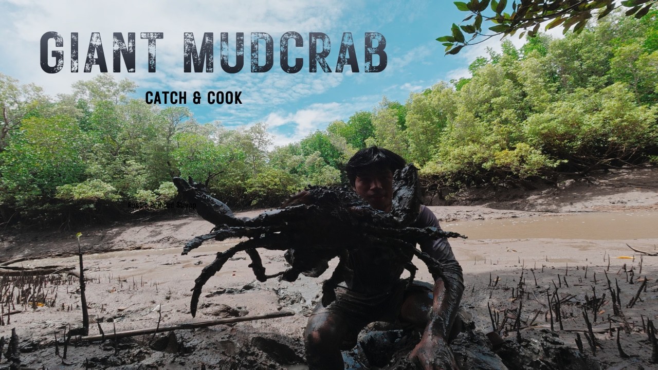 INSANE GIANT MUD CRAB CAUGHT BAREHANDED | Catch & Cook