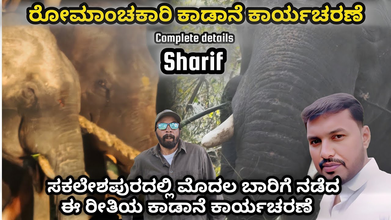 ಅಭಿಮನ್ಯು ನಂತರದ ಗಜಪಡೆಯ ಬಲಶಾಲಿಗಳು ಅಯ್ಯಪ್ಪ ಸುಗ್ರೀವ ಧನಂಜಯ ಏಕಲವ್ಯ ಪ್ರಶಾಂತ💪ಕಾಡಾನೆ ಕಾರ್ಯಾಚರಣೆ –ಸಂಪೂರ್ಣ ವಿವರ