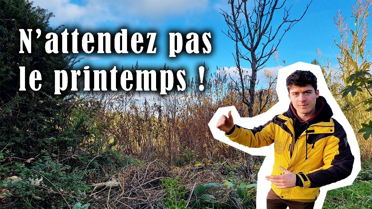 FORÊT-JARDIN : Que faire en hiver pour se faciliter la vie au printemps ?