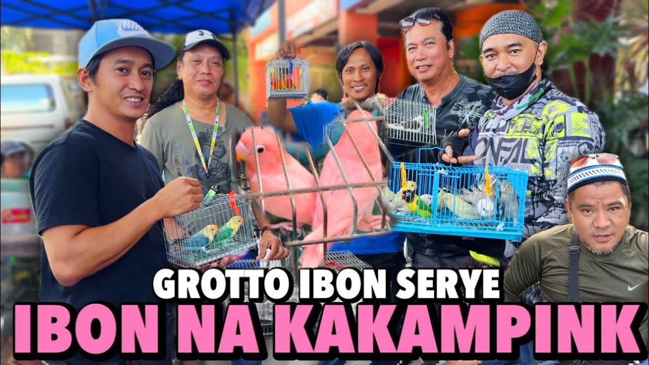 KAKAIBANG KULAY NG IBON NI KUYA KALID | GROTTO IBON SERYE | NOVEMBER 10, 2024