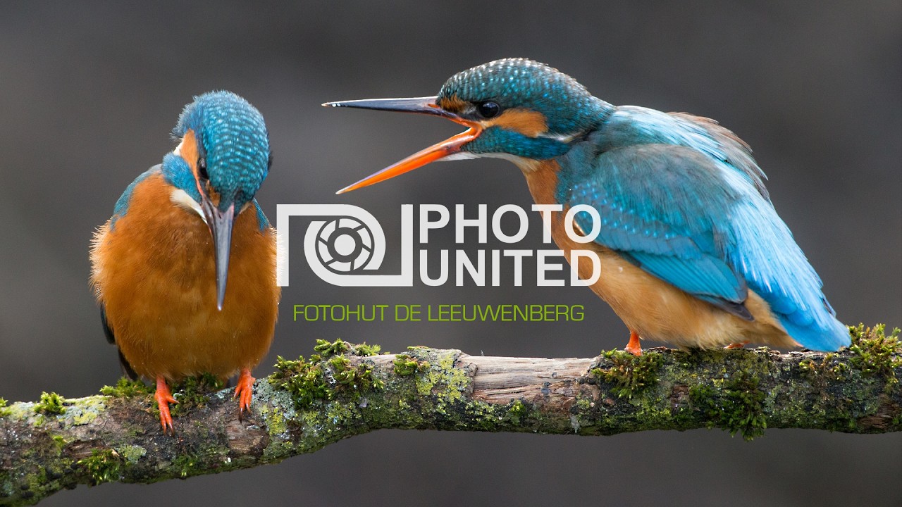 Photounited fotohut de Leeuwenberg