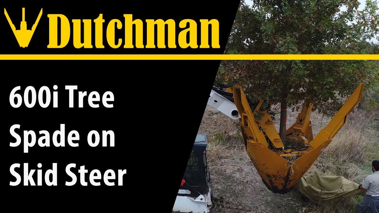 Dutchman 600i Tree Spade on Skid Steer [4K]
