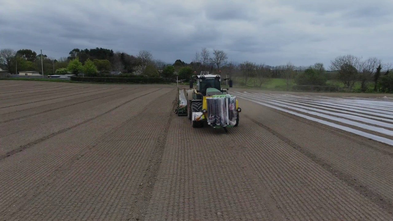 Planting Maize in Co.Louth 2017 Using Fendt 939 with Samco 6 row planter