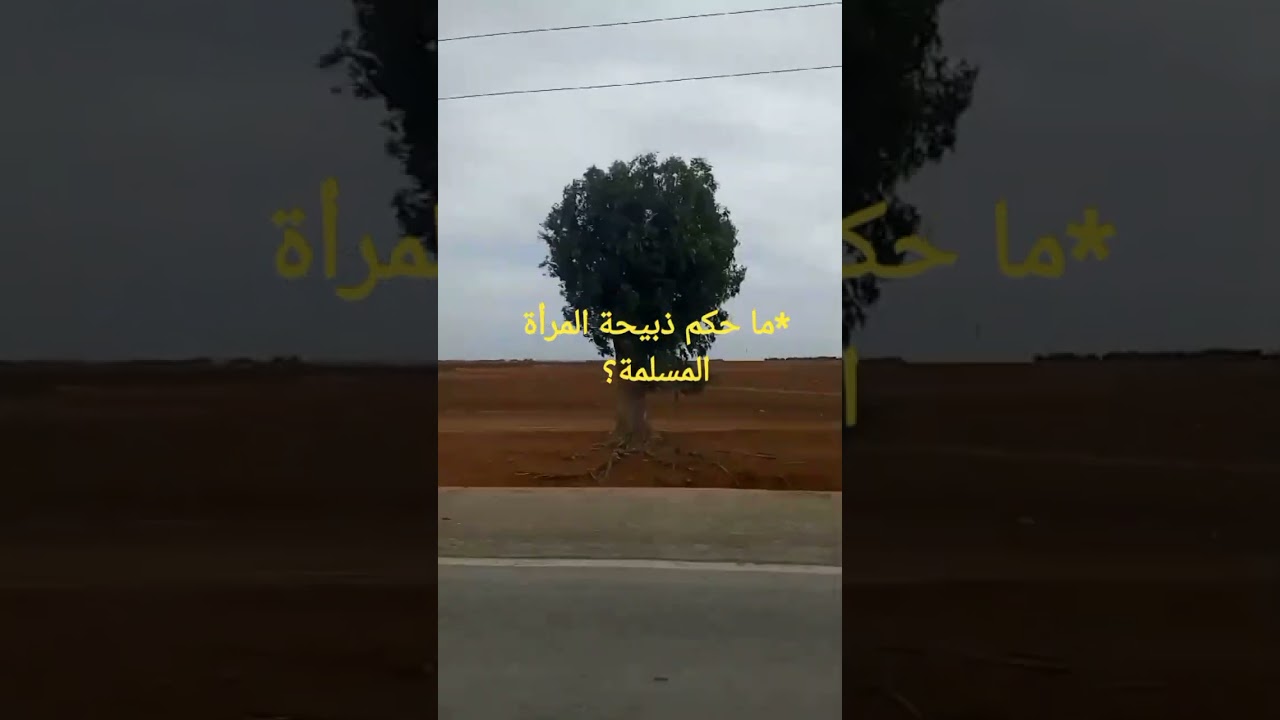 هل يجوز للمرأة أن تذبح الأضحية ؟