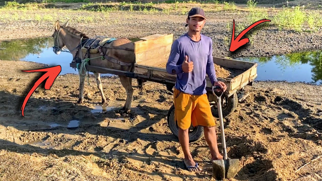 TRABALHO DURO NO SERTÃO PARAIBANO QUANTO ELE GANHA CARREGANDO AREIA EM UM BURRO