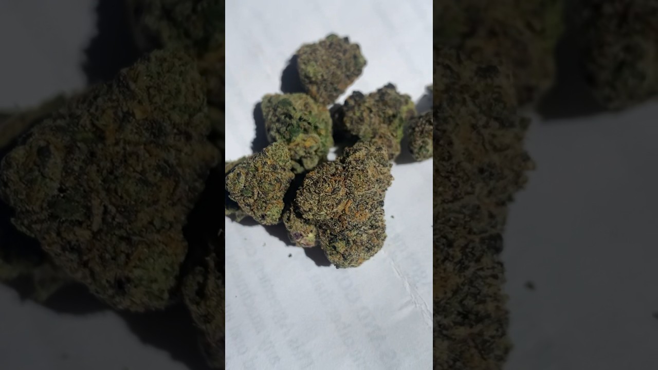 Grape Jelly Donut🍇🫙🍩 @thedopestshop_