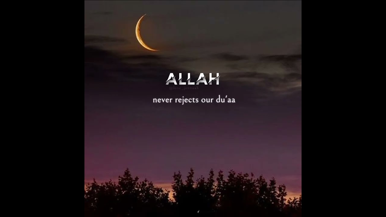 Peace#viral#love#lifeisbutadream#quotes 