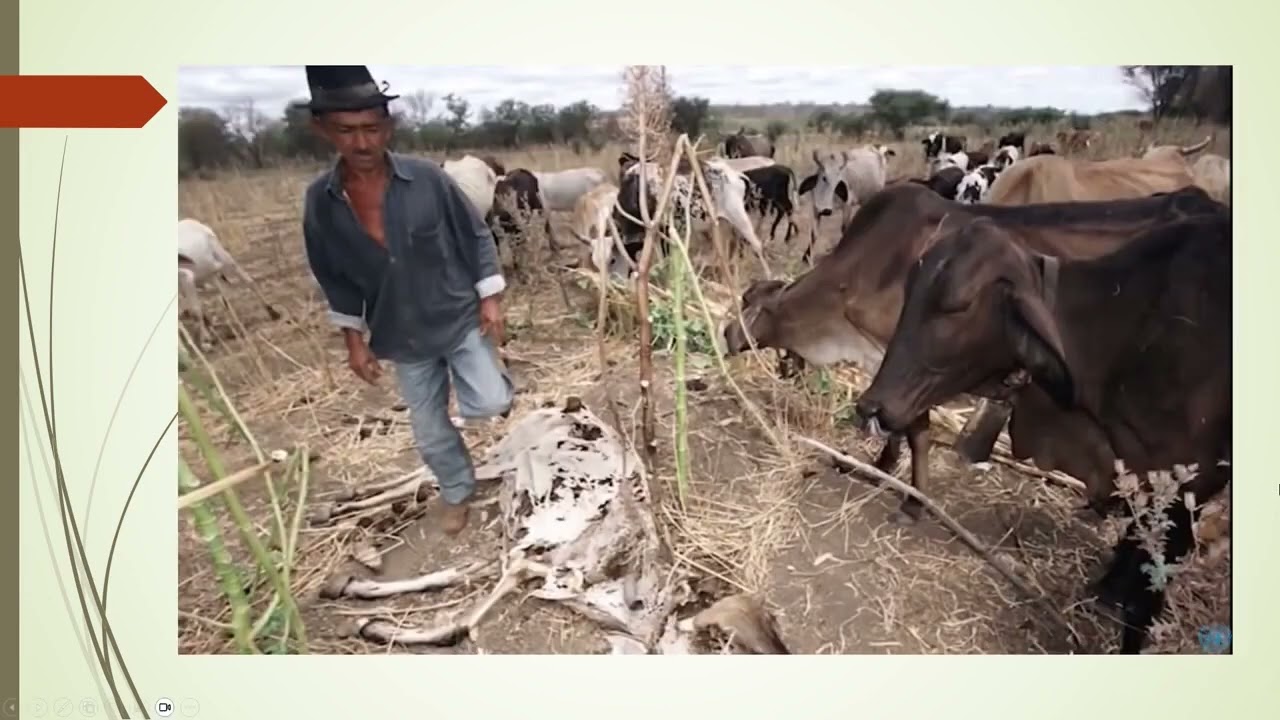 Análise da obra  Histórias da Fome no Brasil | ONU Brasil | OBRA DO PAS 2 DA UnB