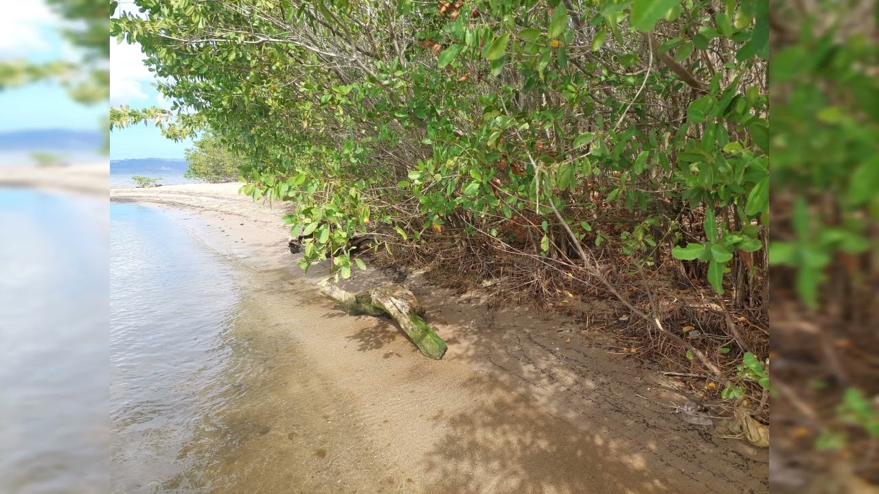 El Golfo de Cariaco y dos de sus más hermosas playas  en carretera Cumaná a Cariaco Troncal 9