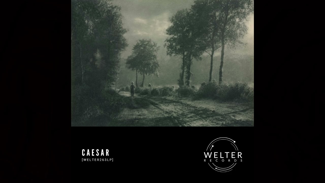 Caesar - Sense [WELTER263LP]