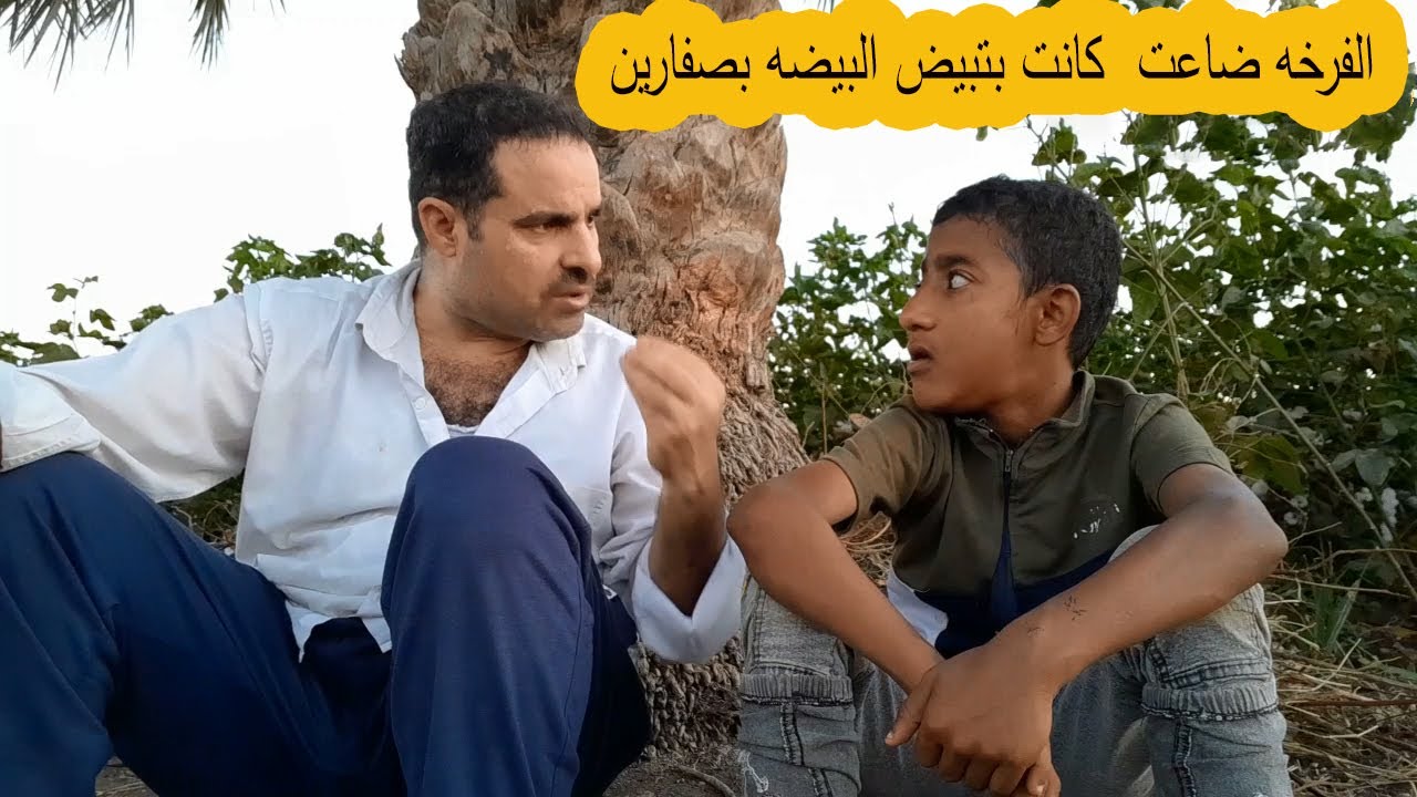 الفرخه بتاع عمر ضاعت