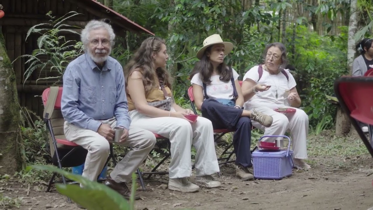 Festivalito de arte ecológico en la Finca Kocoy en Coatepec, Veracruz