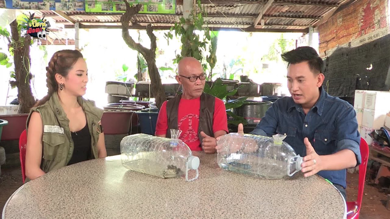 เปิดหูเปิดตา ตอน ขวดเลี้ยงกบและกุ้งล๊อบสเตอร์ (31ม.ค.59)