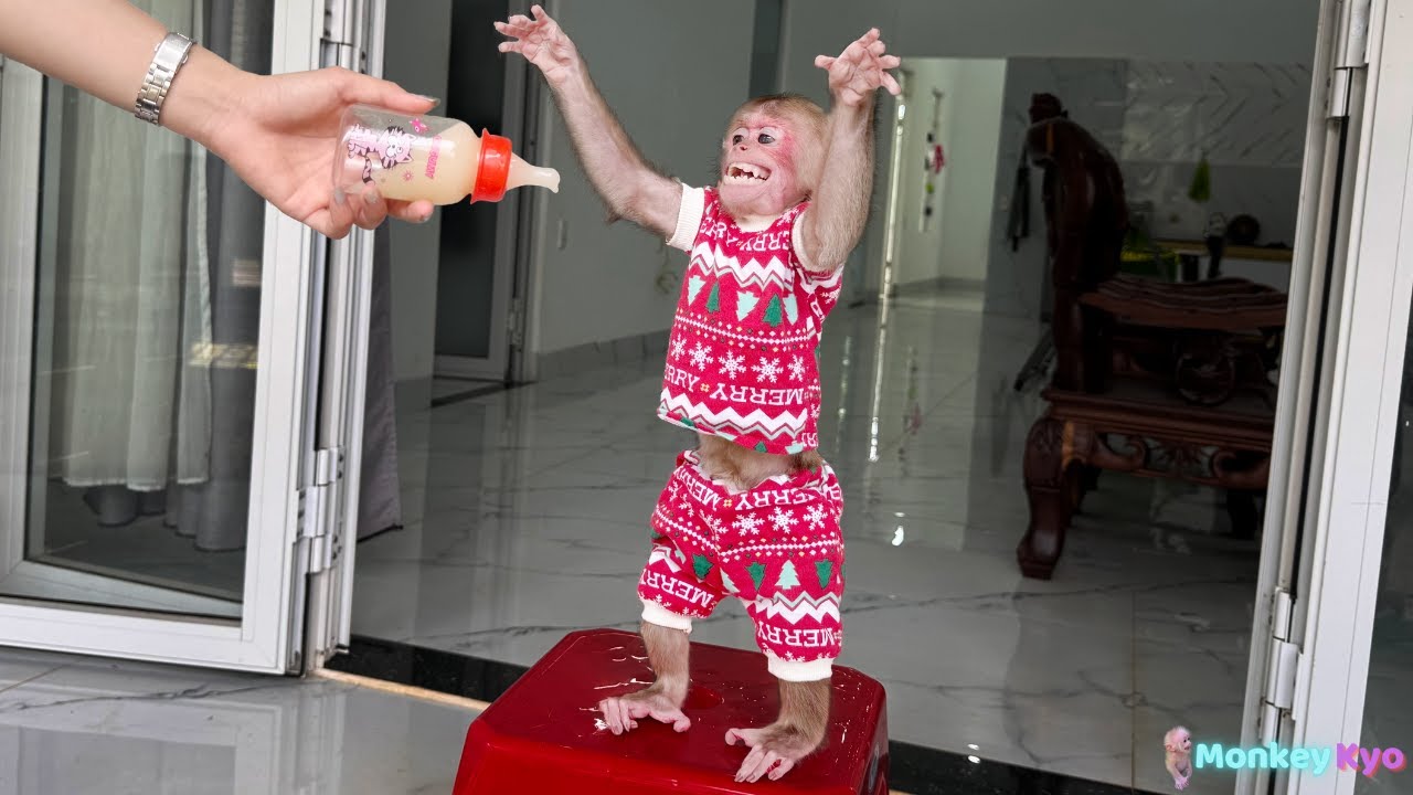 Ngan’s special care for Kyo turned into a moment no one expected!