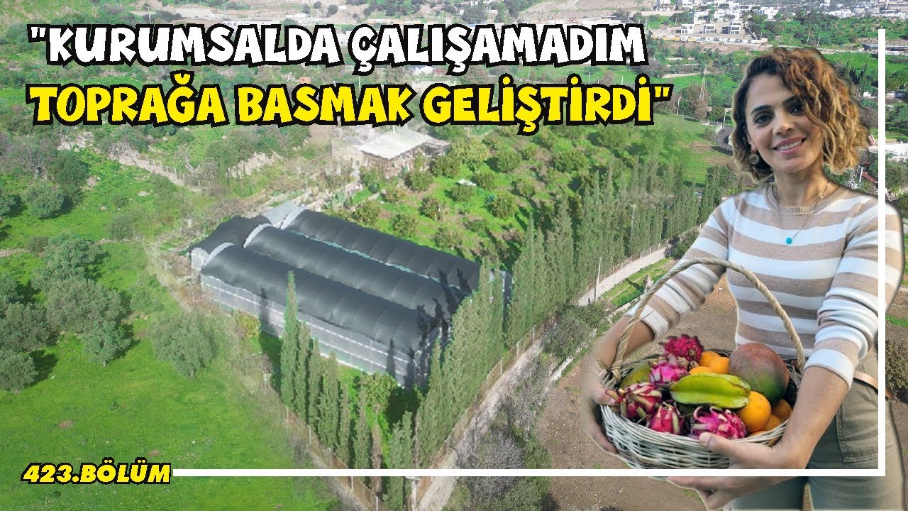 HOBİSİ İŞE DÖNÜŞTÜ. Eğlenerek para kazanıyor, sakince yaşıyor! (Bodrum MUĞLA)
