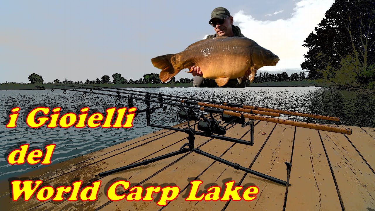 World Carp Lake - Postazione 11