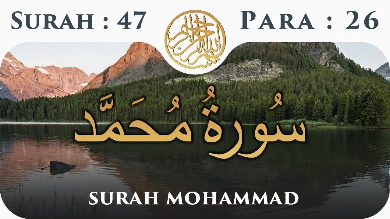 47 Surah Al Mohammad  | Para 26 | Visual Quran with Urdu Translation