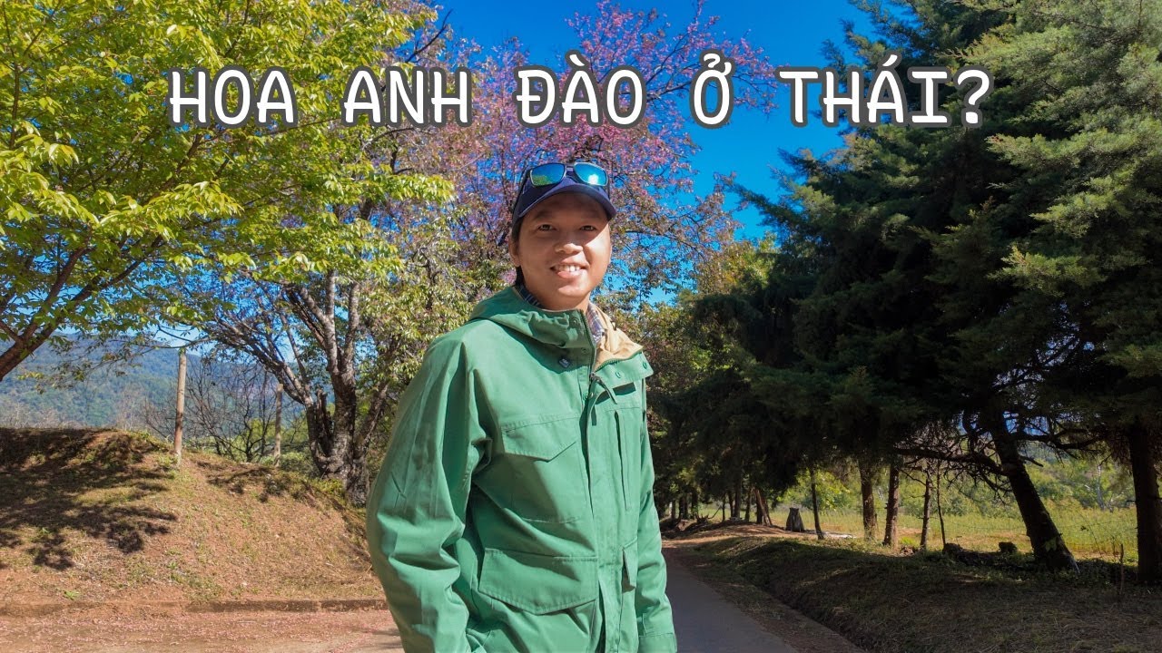 Không Ngờ Thái Lan Cũng Có.... | Chiang Mai.