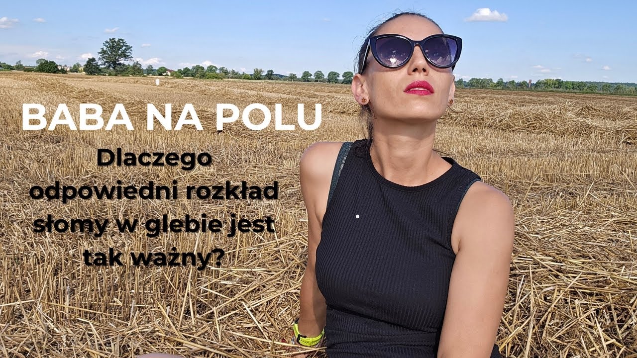 Dlaczego odpowiedni rozkład słomy w glebie jest tak ważny #ŻyznośćGleby #humifikacja #mineralizacja