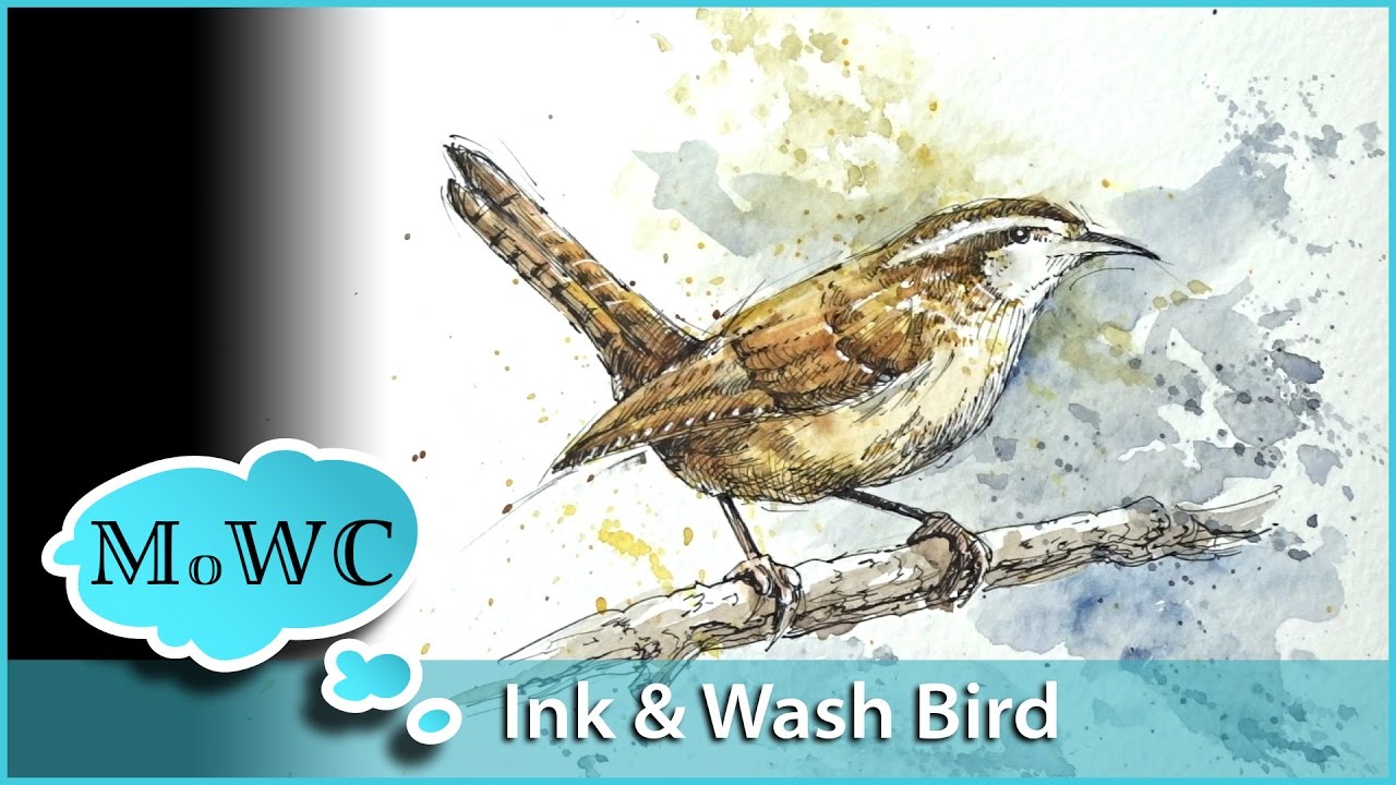 Painting a Wren in Watercolor Line and Wash