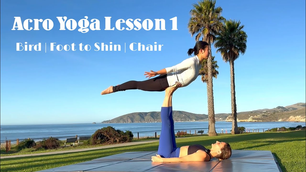 Bird - Foot to Shin - Chair