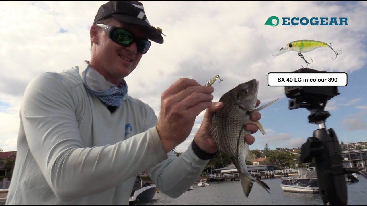 Как ловить на крэнкбейт | Учебное пособие от Daiwa BREAM Australian Open со Стивом Морганом