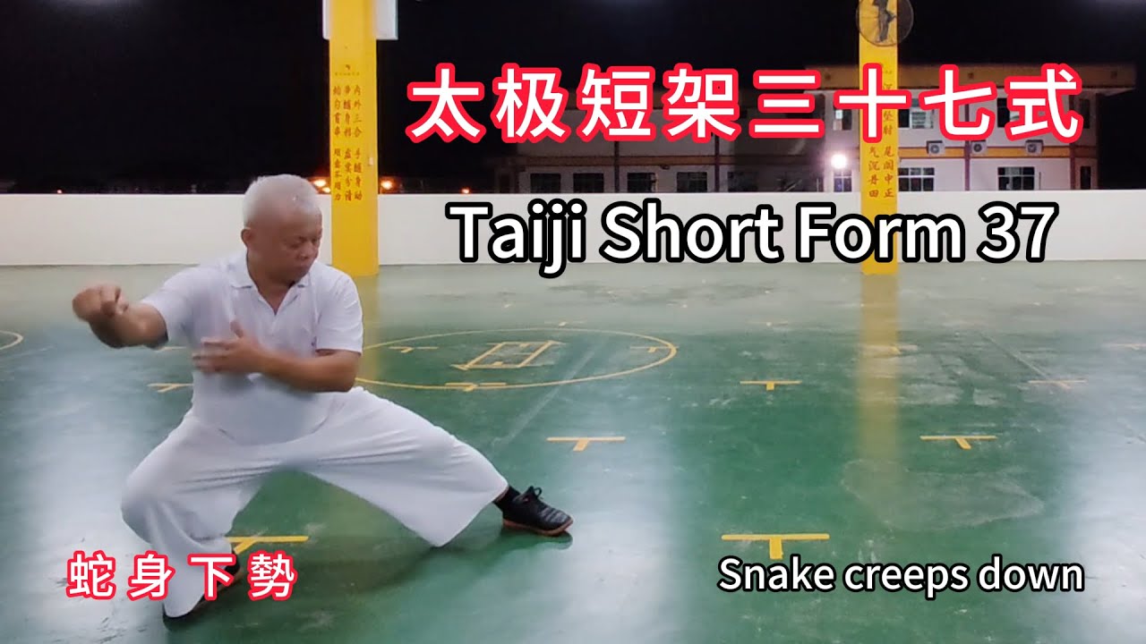 250520 短架37式记录片Taiji Short form 37 documentary.