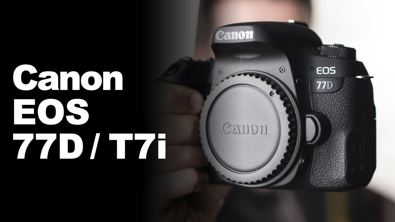 Canon t7i/77D: valem mais a pena que a 80D?