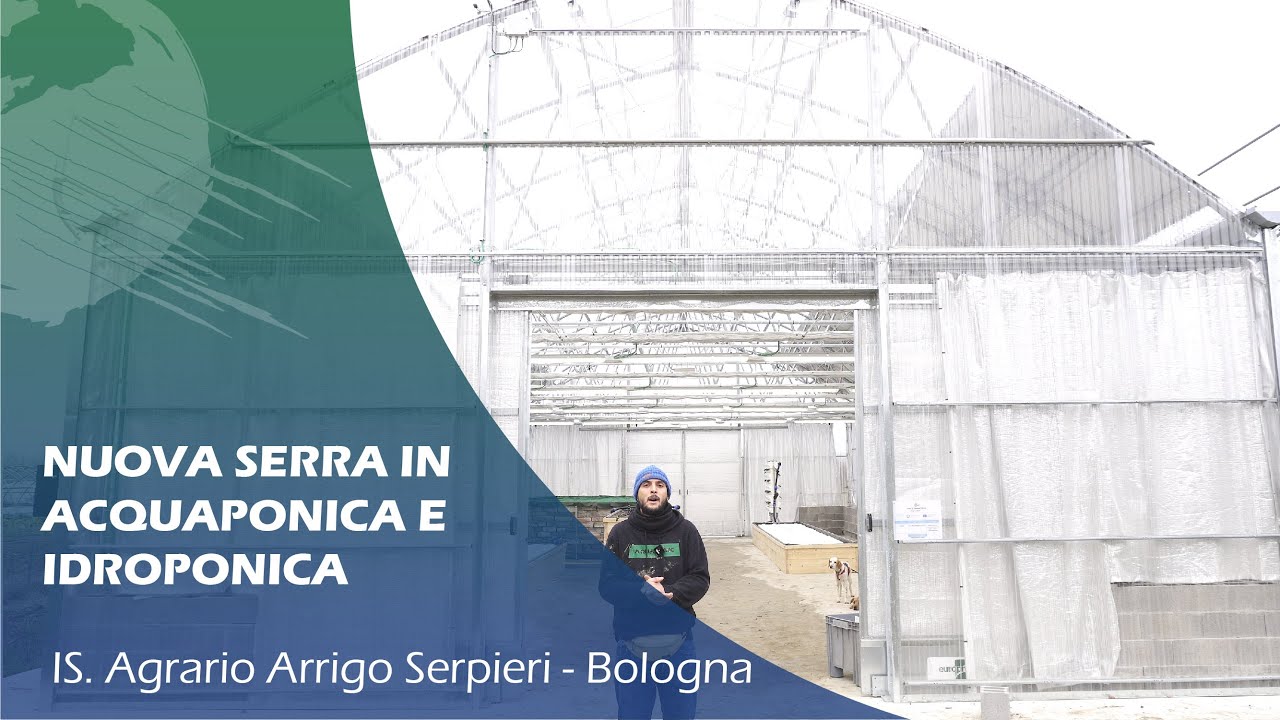 IMPIANTI DI ACQUAPONICA E IDROPONICA a SCUOLA - Is. Agrario Arrigo Serpieri BOLOGNA