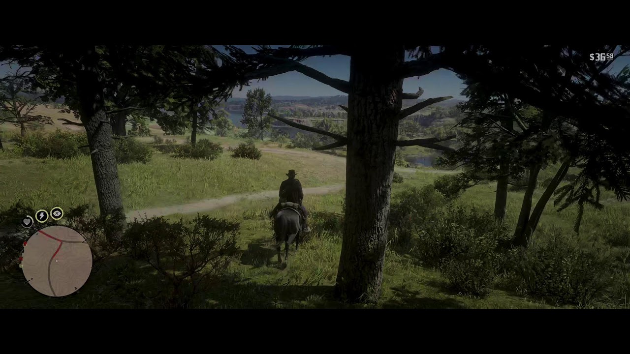 Red Dead Redemption 2 #29