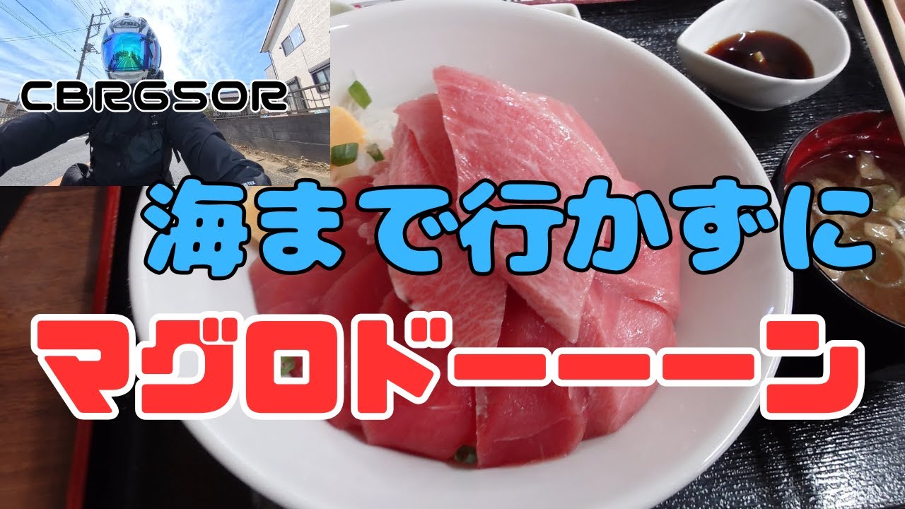 CB650R　海には行かずにマグロ丼！