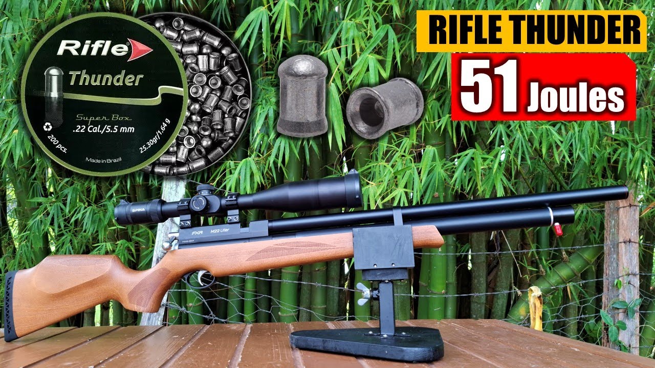 RIFLE THUNDER 5.5 51 JOULES NA ARTEMIS M22