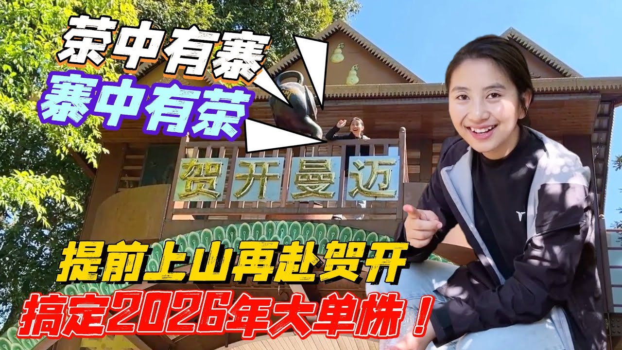 茶中有寨寨中有茶！提前上山再赴賀開，搞定2026年大單株！購普洱茶請加微信WeChat或Line：QLDC2003#茶 #茶叶 #普洱茶 #古树茶#老班章 #tea #喝茶 #茶葉 #古樹茶