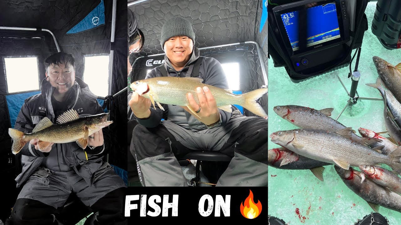 Whitefish Ice Fishing BITE is ON - Sturgeon Bay, WI 2026 (Door County)