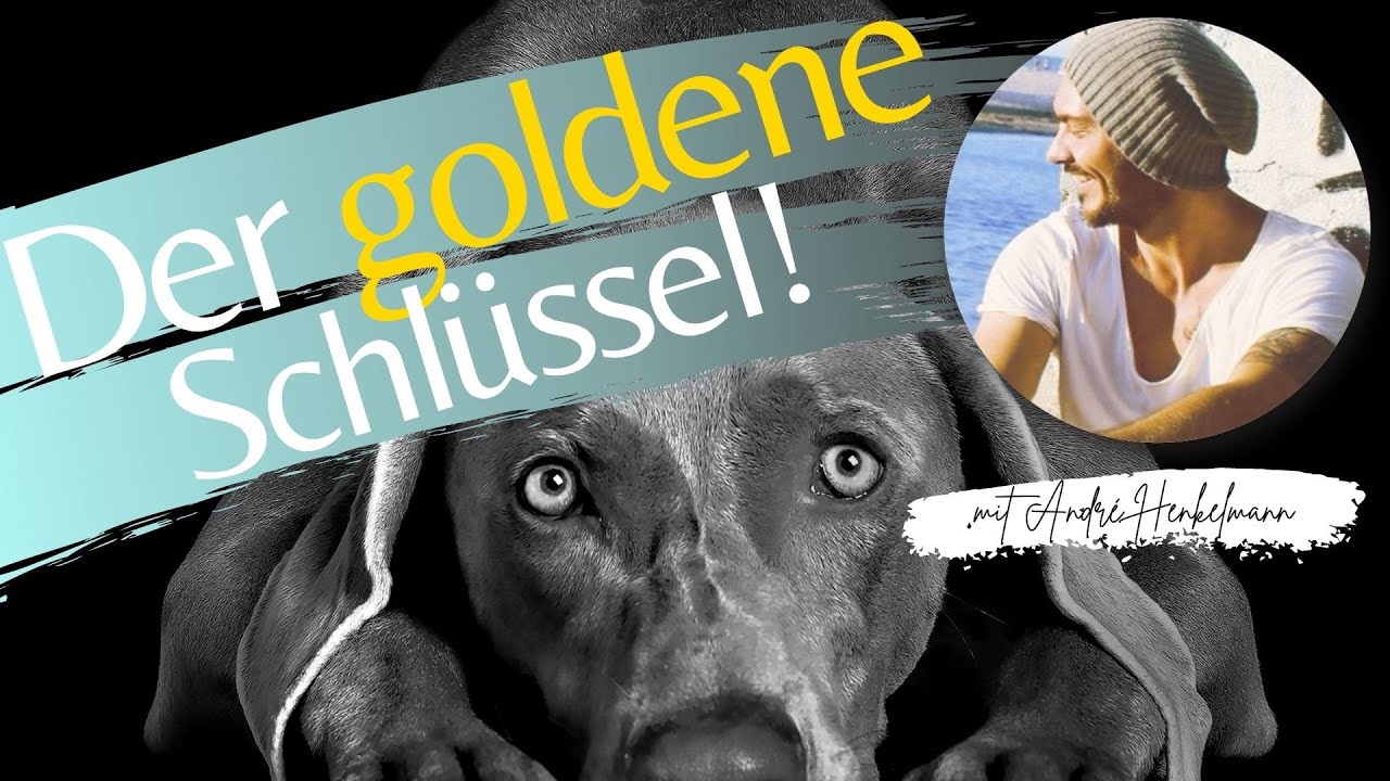 Der goldene Schlüssel für deine Hundeerziehung! Profi-Tipps!