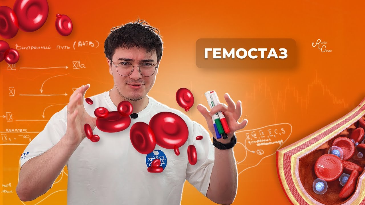 Гемостаз. Первичный гемостаз, вторичный. Антиагреганты, антикоагулянты