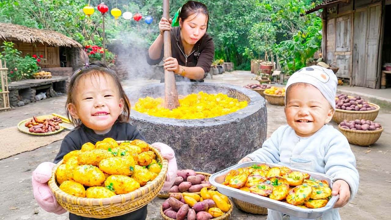 How to Cook Potato for Quick Snack - Harvesting Giant Sweet Potatoes to Sell at Market