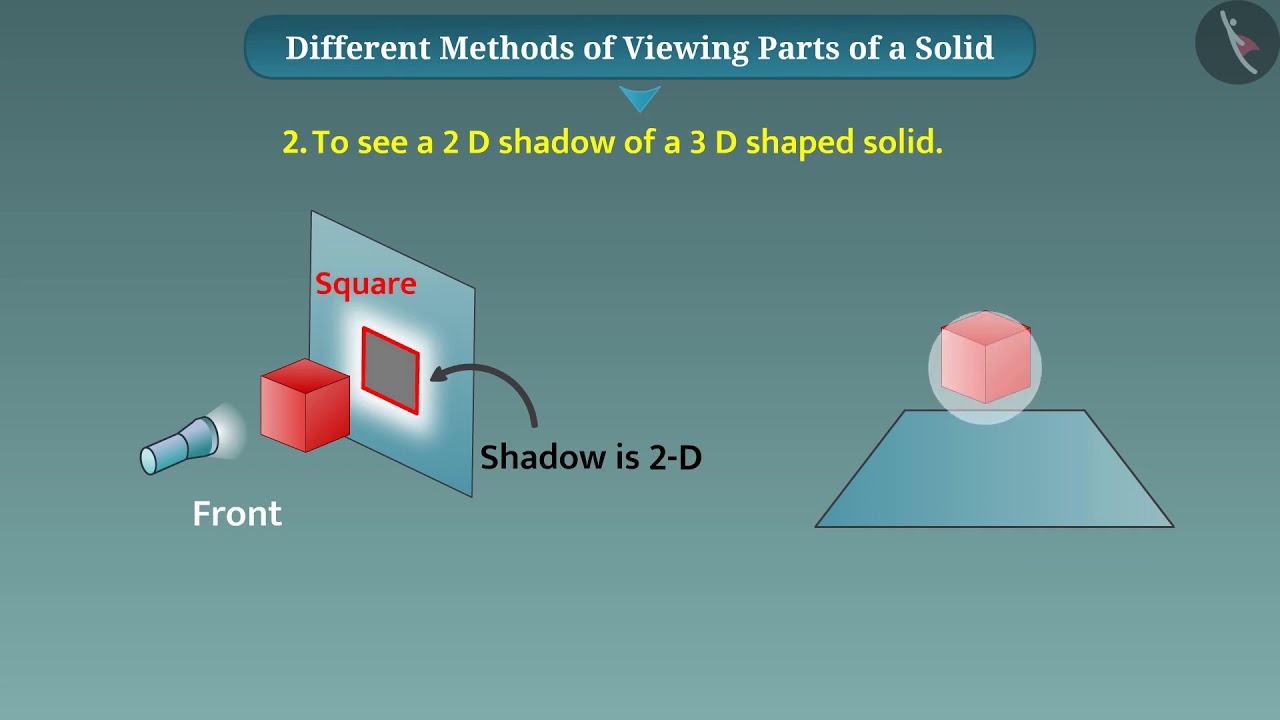 Viewing different sections of a solid | Part 1/3 | English | Class 7