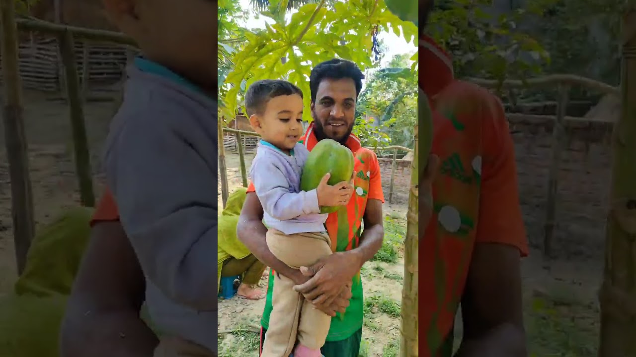 রমজান মাসে রান্না করার জন্য খড়ি নাই তাই গাছ কাটা হচ্ছে। 