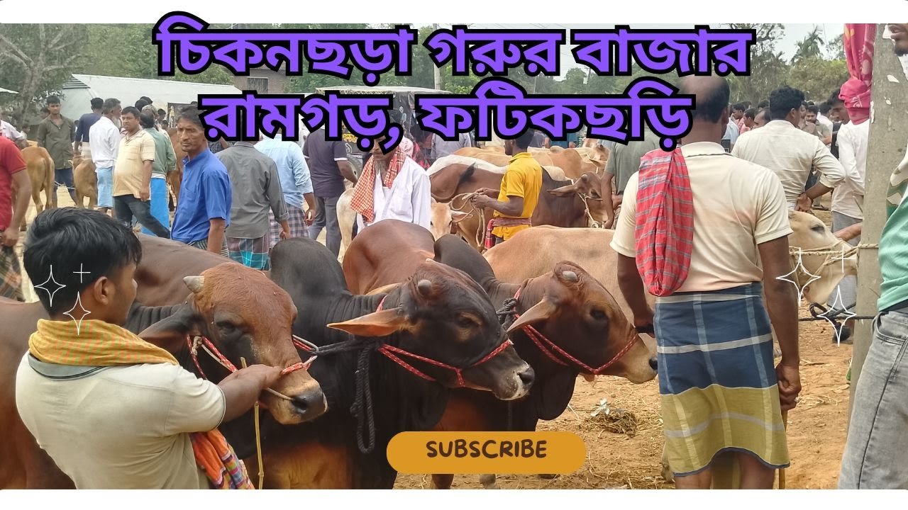 চিকনছড়া গরুর বাজার। রামগড়, ফটিকছড়ি, চট্টগ্রাম। ২৯/০৪/২০২৫