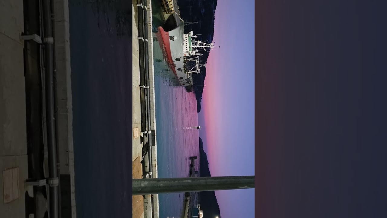 Вечерние гости