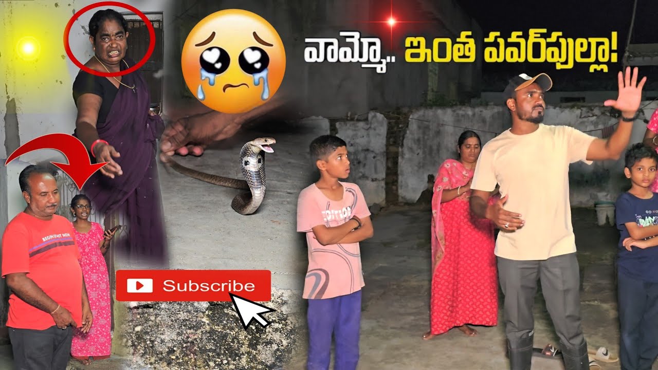 #Indian #Little cobra snake Rescue || ఐలాపూర్ గ్రామంలో రెస్క్యూ contact 7396969617