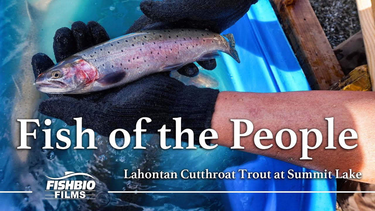 Fish of the People: Lahontan Cutthroat Trout at Summit Lake
