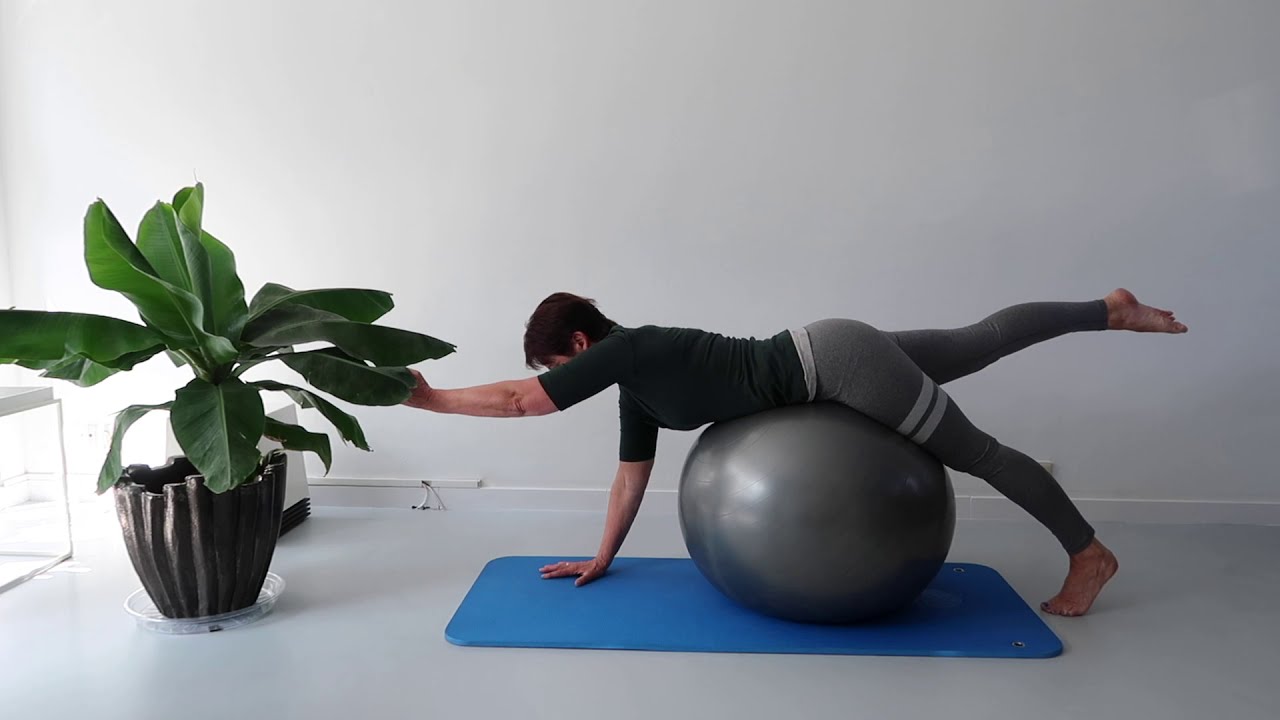 Stabiliseer de rug met de fitbal met Anja