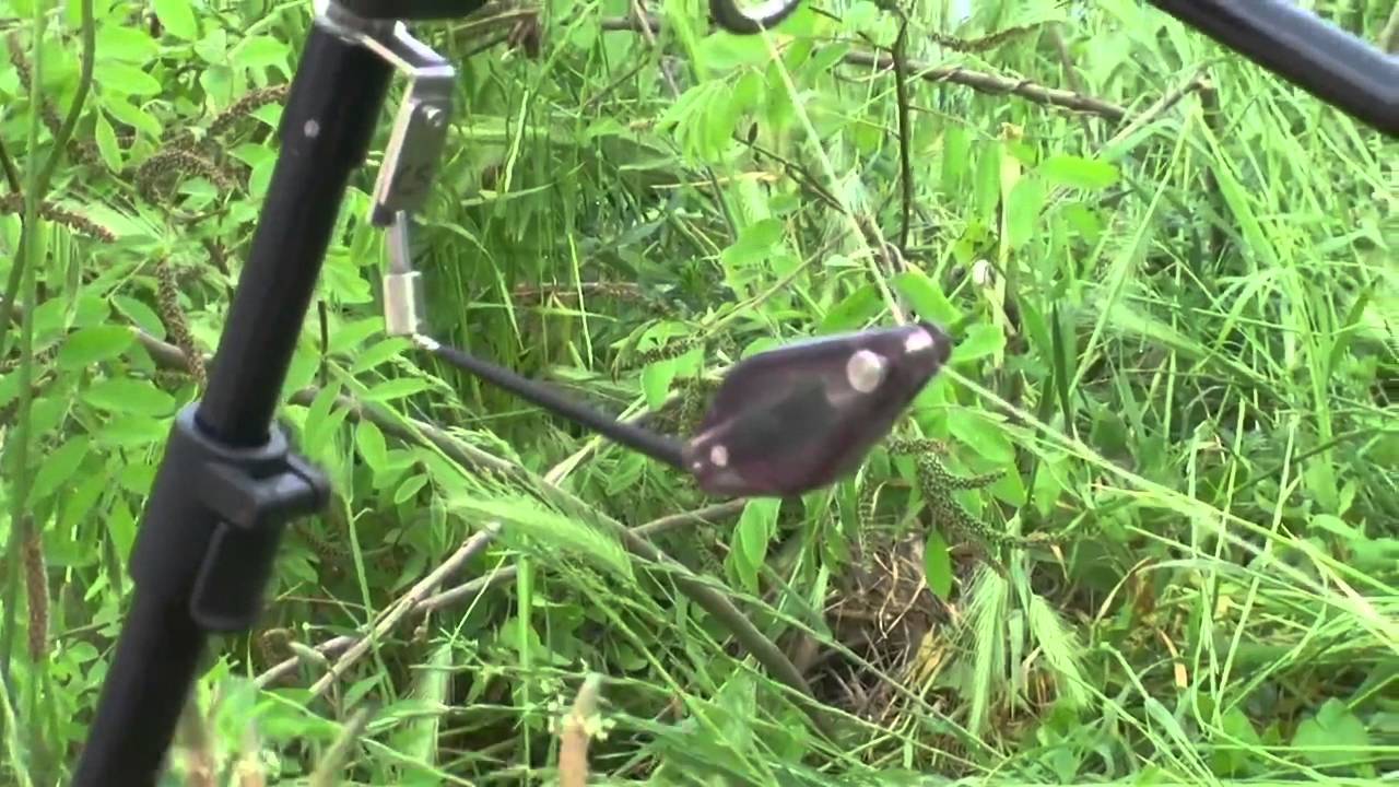 Индикаторы Carp Sounder Dropstar Diamond Black
